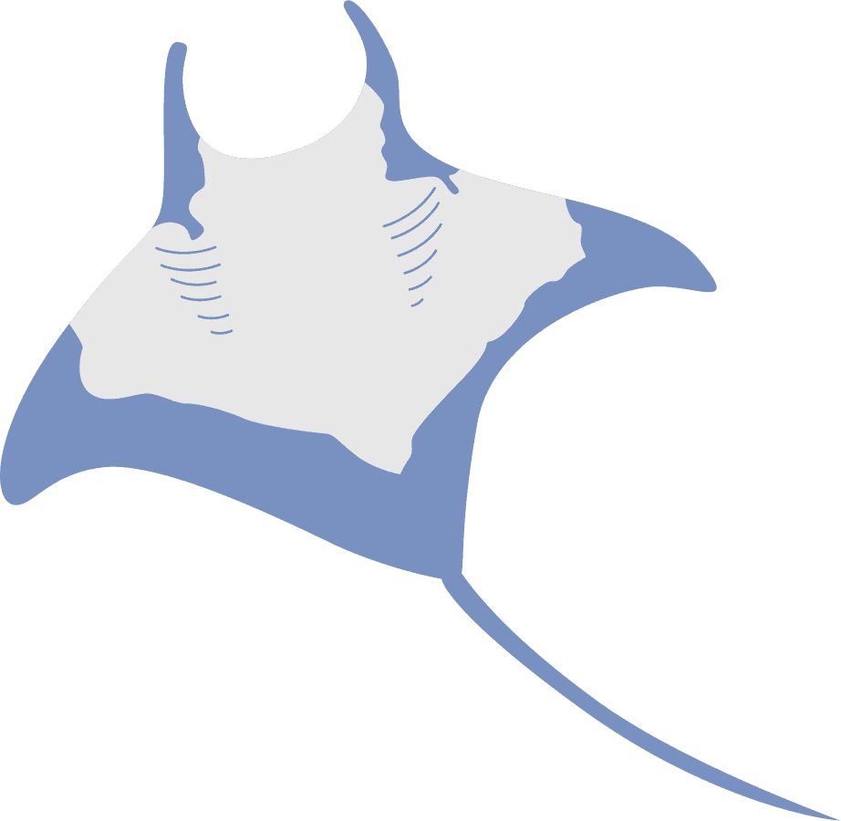 manta_ray