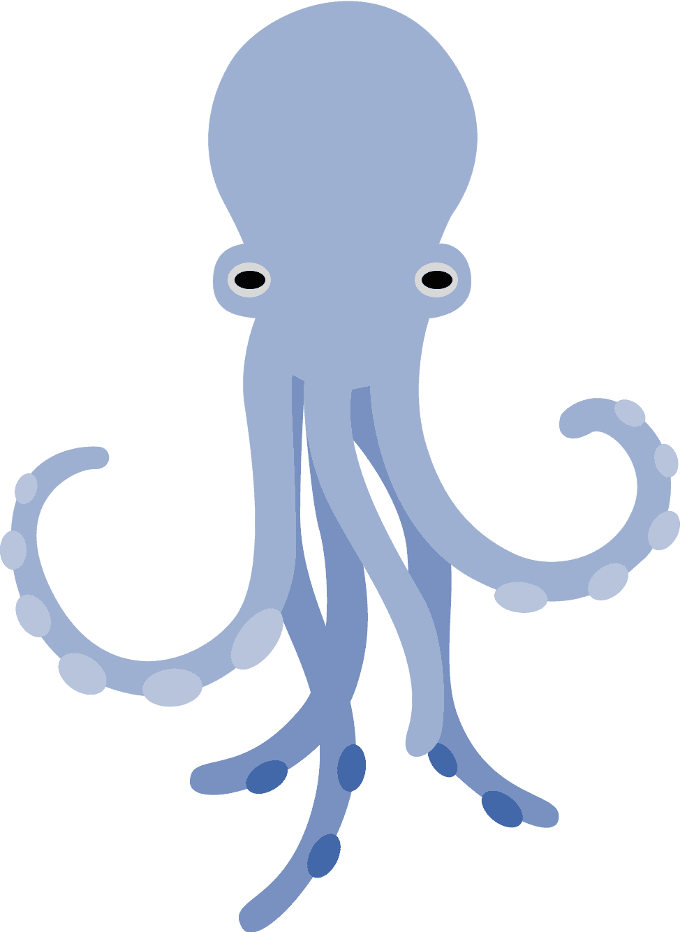 octopus