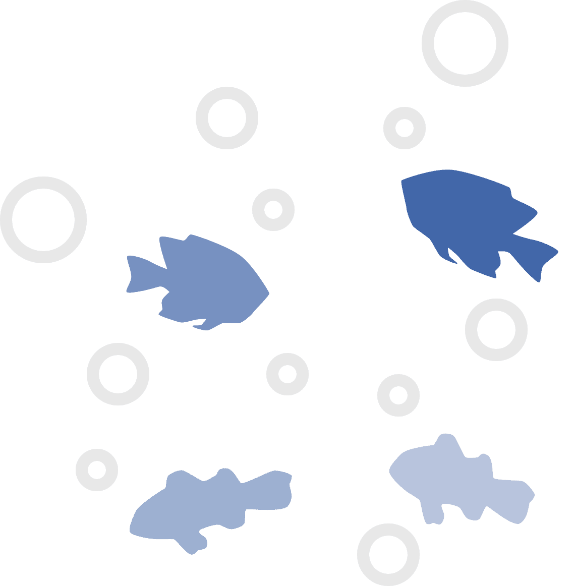 abundant_reef_fish