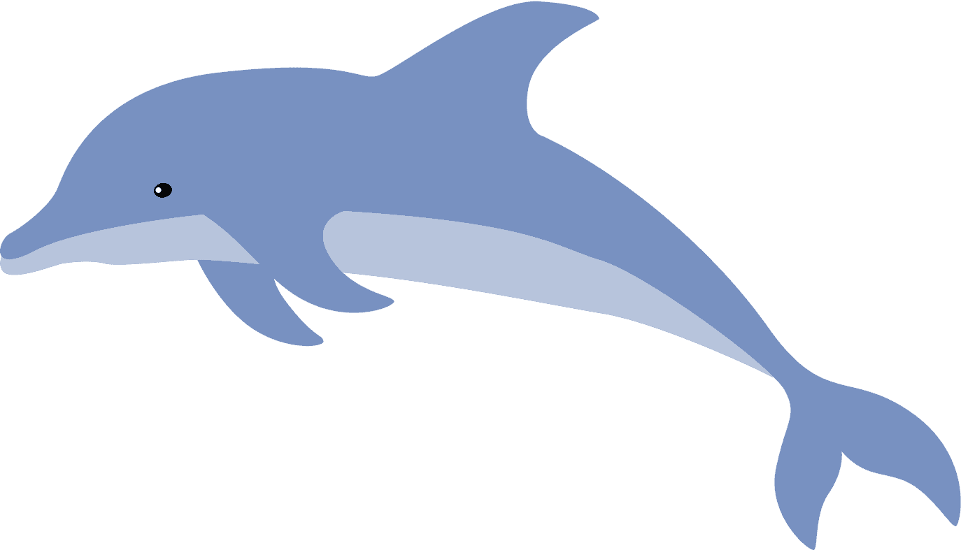 dolphin