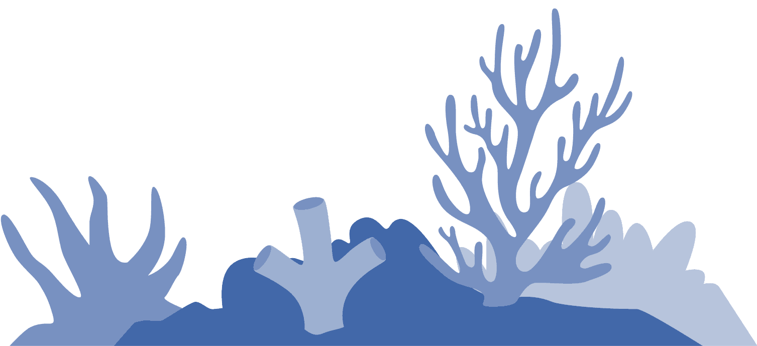 hard_coral