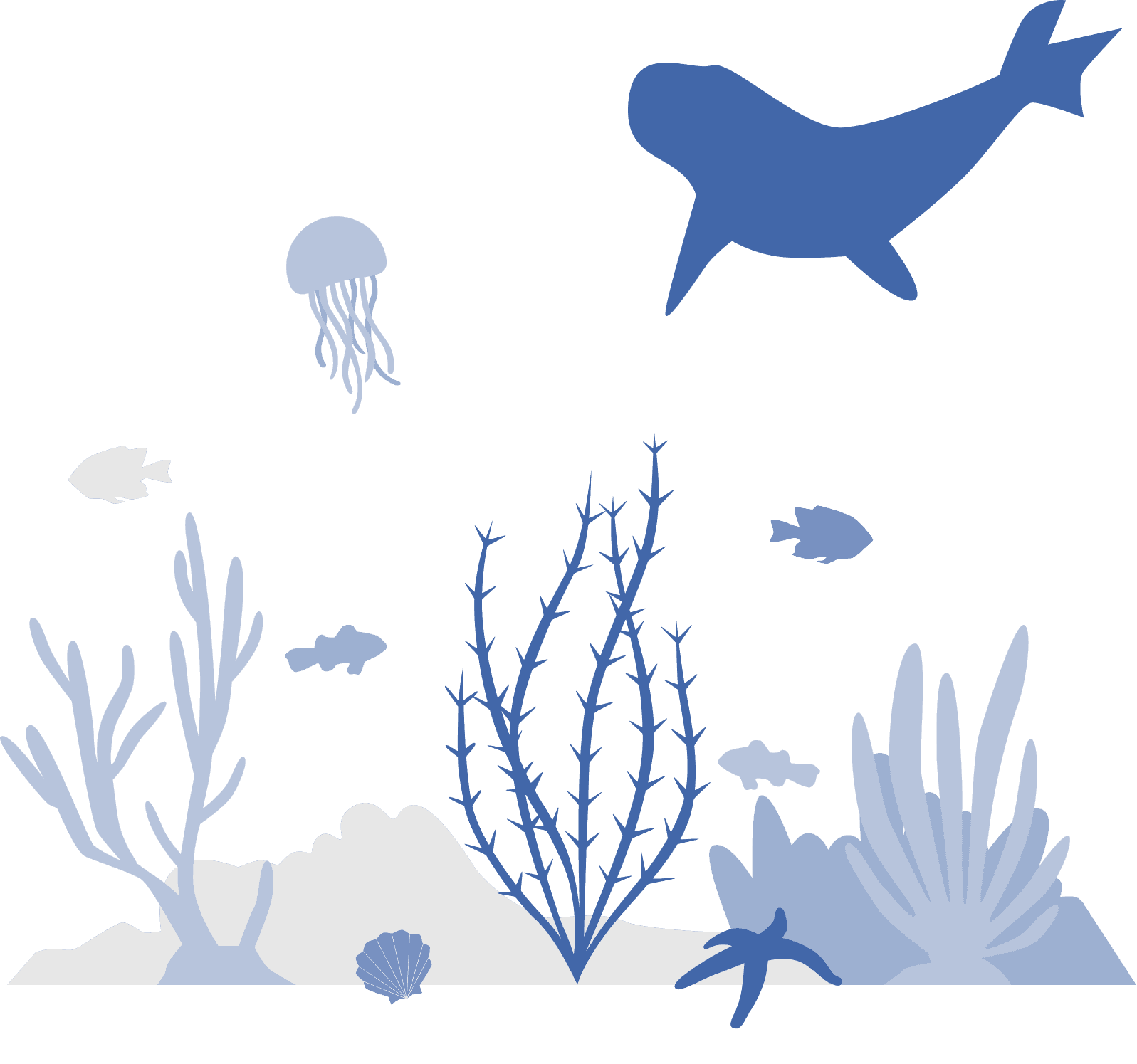 marine_ecology
