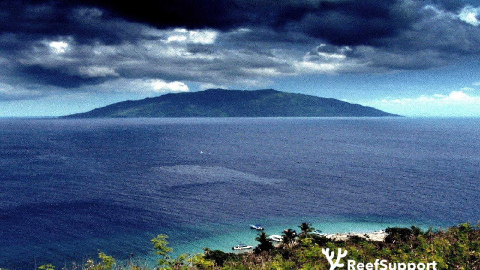 Reef restoration and ranger field activity