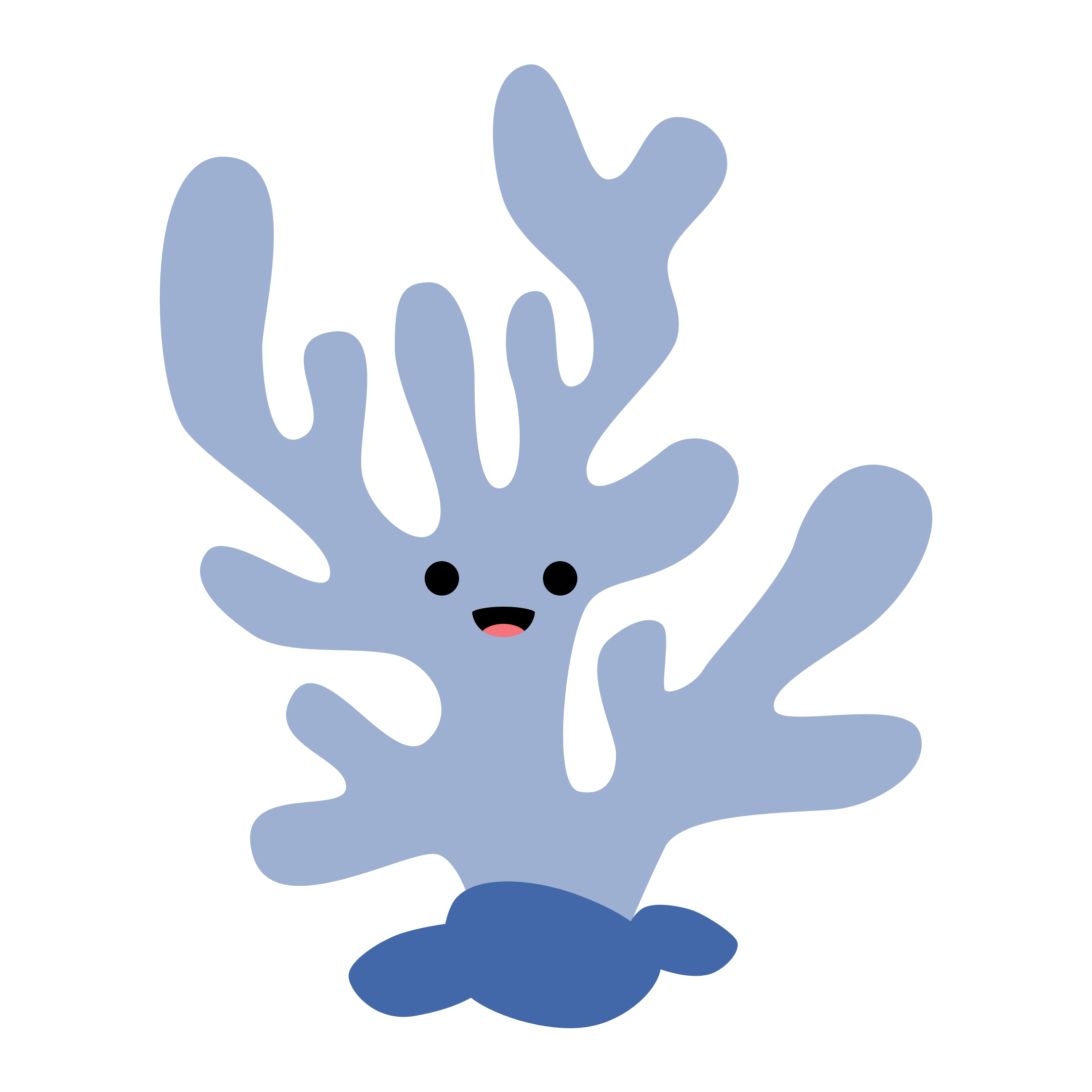 An Important Coastal Asset icon