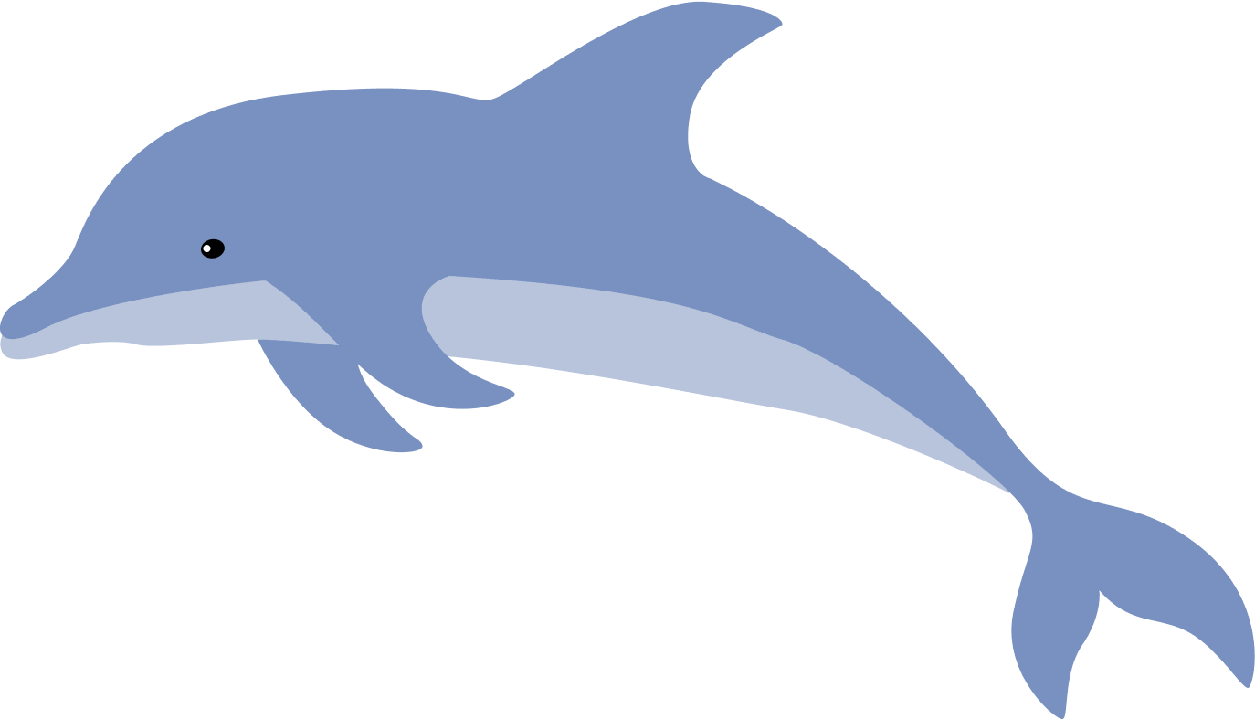 dolphin