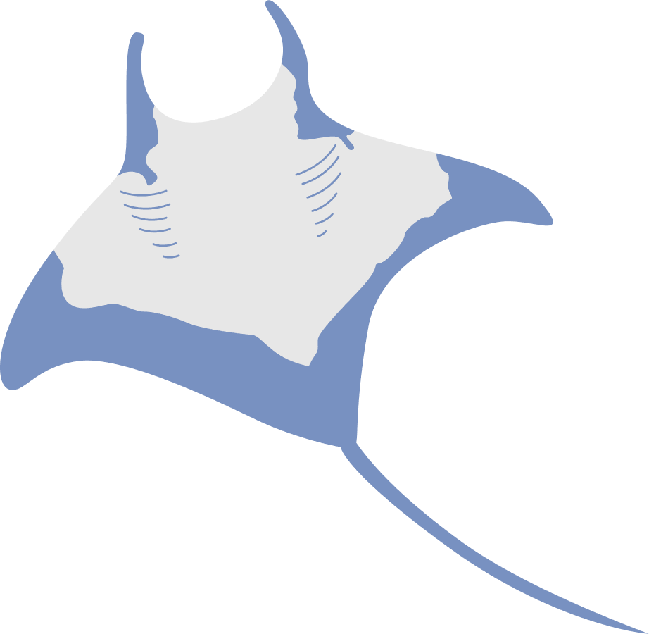 manta_ray