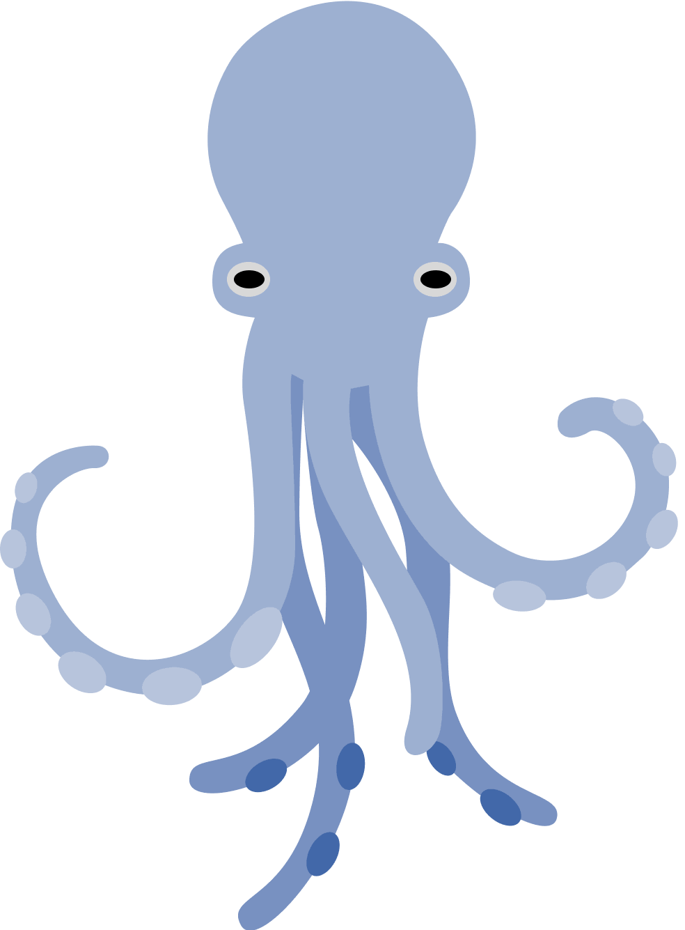 octopus
